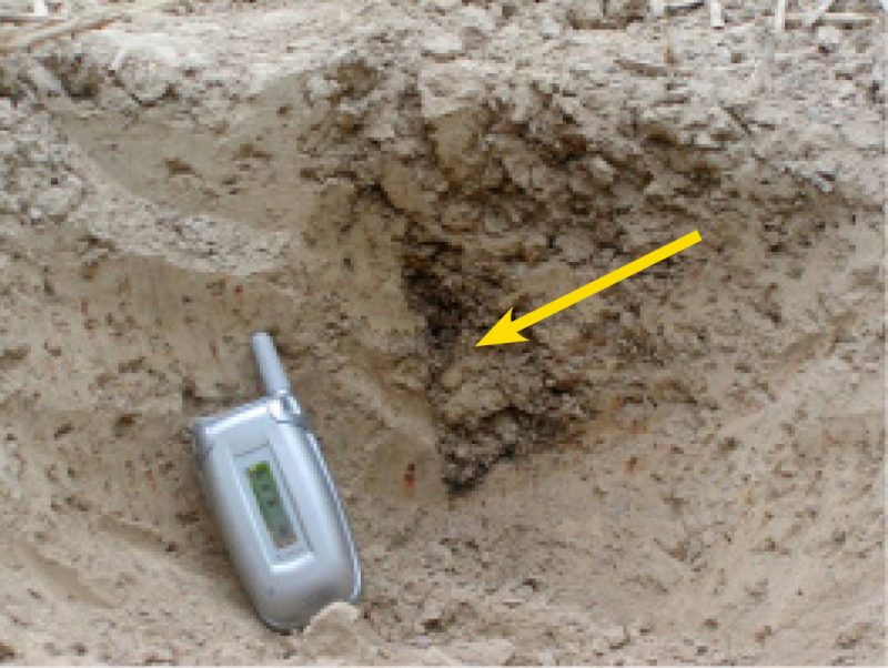 Photograph of injection slit at the end of the growing season following corn harvest. Cell phone is for scale, and arrow points to manure injection slit rich in organic matter.